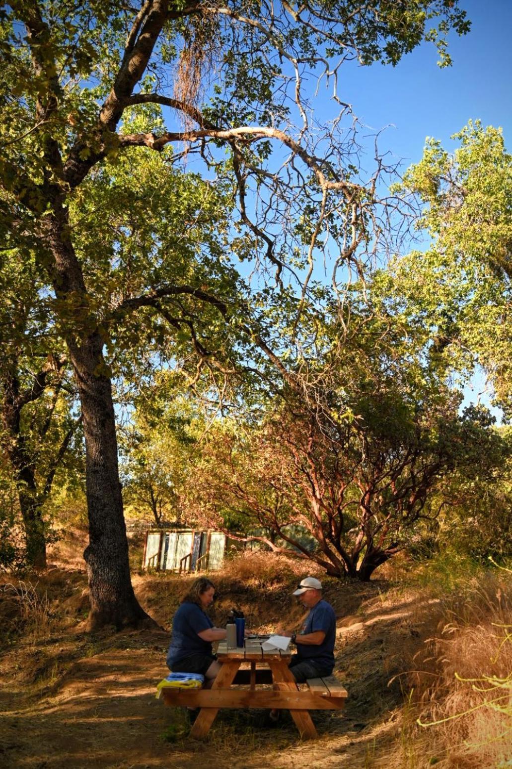 Campground At Sequoia Mountain Farms - Bring Your Own Tent Or Rv - No Bedrooms Or Beds Provided Miramonte Екстер'єр фото